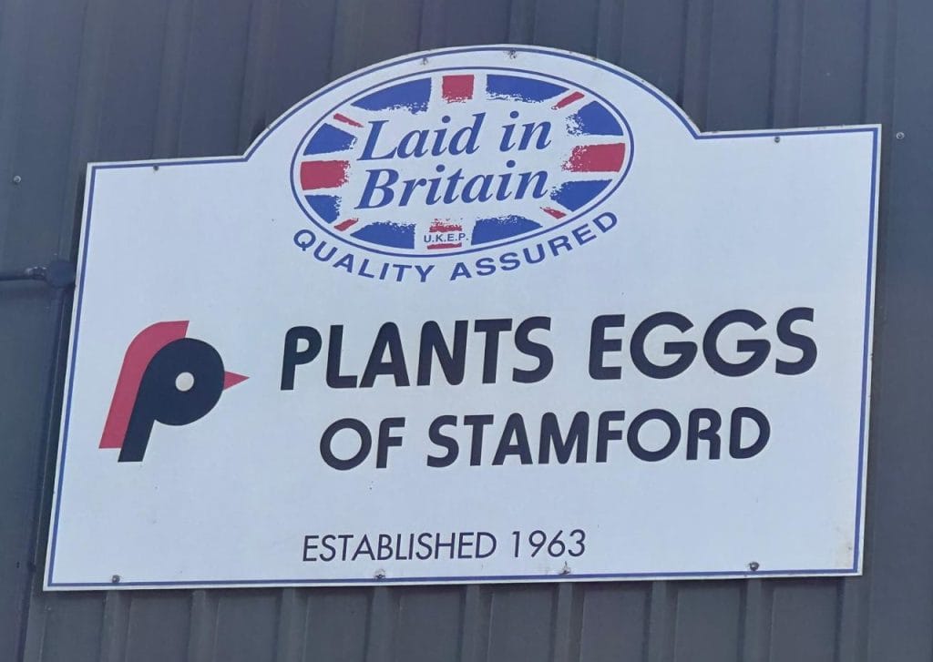 Plant Eggs